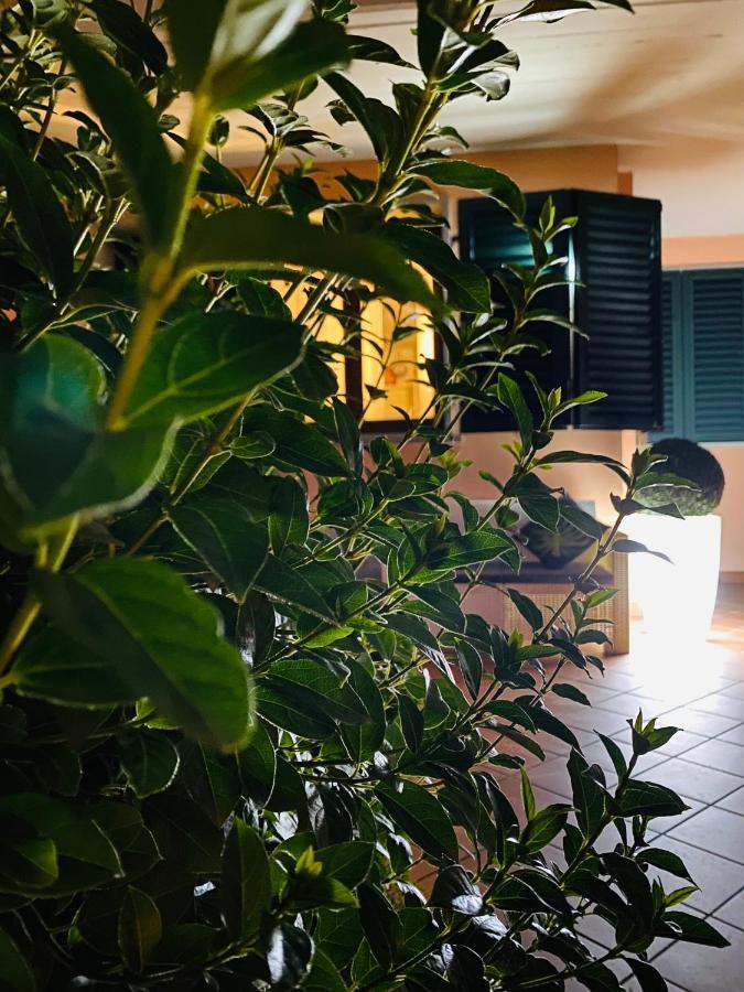 The Loft E&E Open Space Empoli Luaran gambar